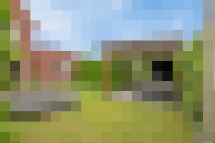 Zonnedauw 1 Mariahout thumbnail 49