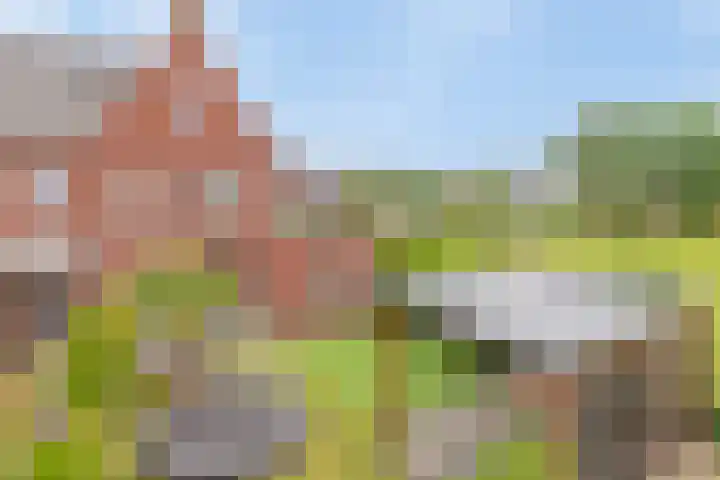 Zonnedauw 1 Mariahout thumbnail 50