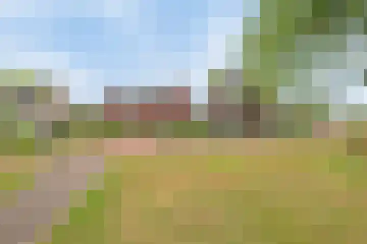 Zonnedauw 1 Mariahout thumbnail 52