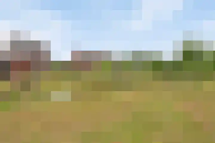 Zonnedauw 1 Mariahout thumbnail 54