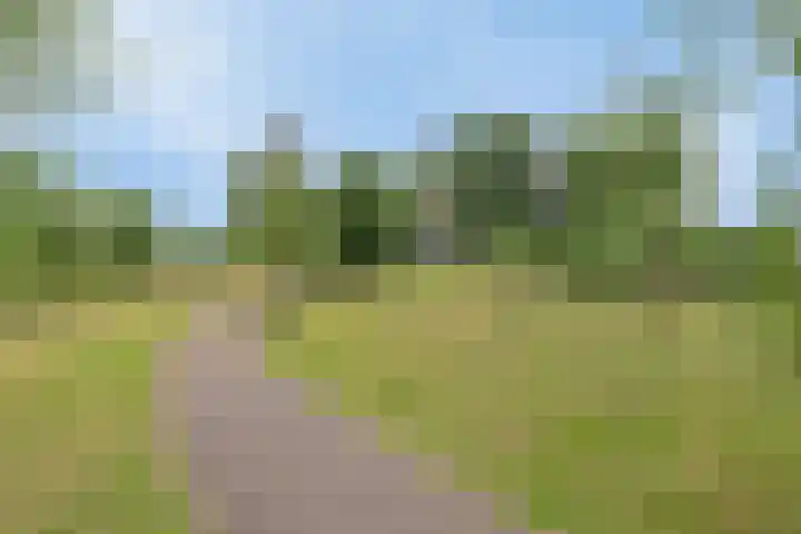 Zonnedauw 1 Mariahout thumbnail 55