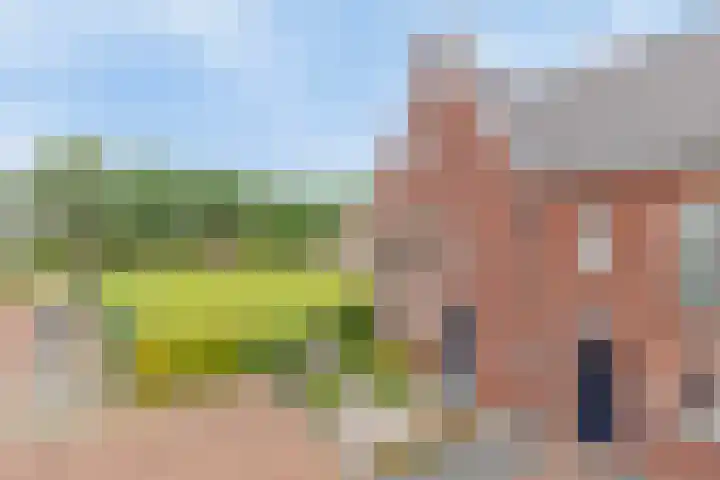 Zonnedauw 1 Mariahout thumbnail 57