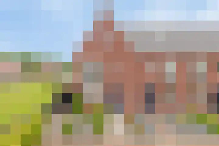 Zonnedauw 1 Mariahout thumbnail 58