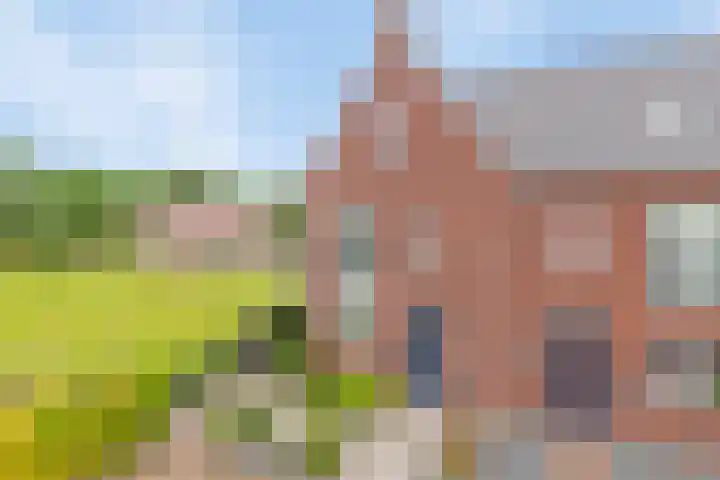 Zonnedauw 1 Mariahout thumbnail 59