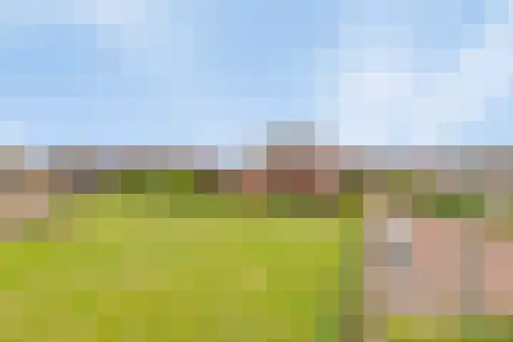 Zonnedauw 1 Mariahout thumbnail 60