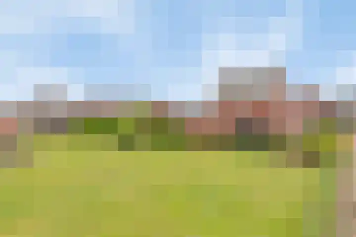 Zonnedauw 1 Mariahout thumbnail 61