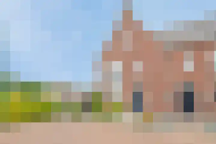 Zonnedauw 1 Mariahout thumbnail 7