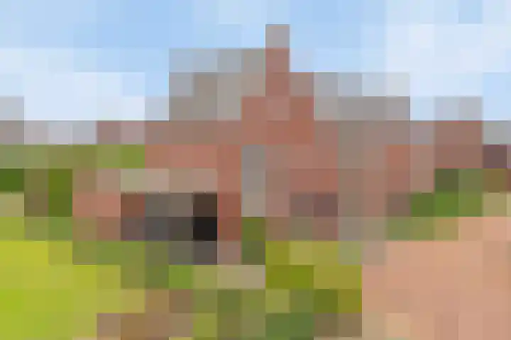 Zonnedauw 1 Mariahout thumbnail 71