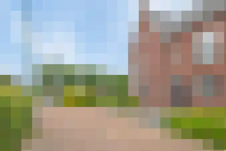 Zonnedauw 1 Mariahout thumbnail 8