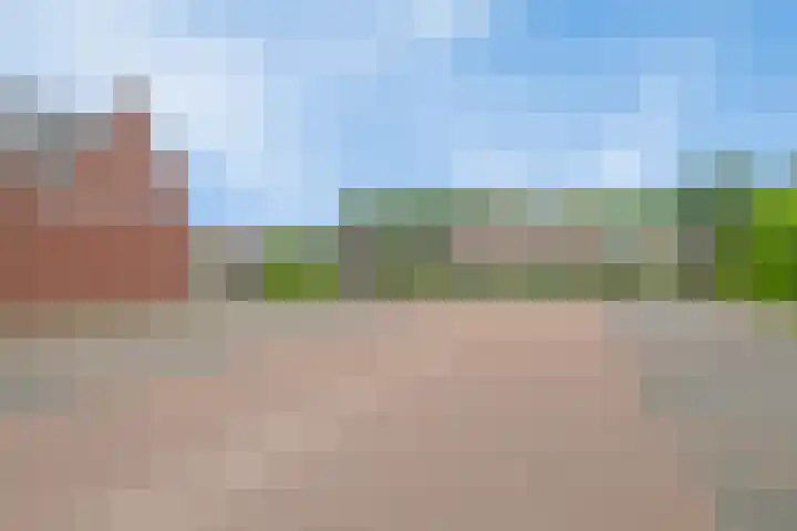 Zonnedauw 1 Mariahout thumbnail 9