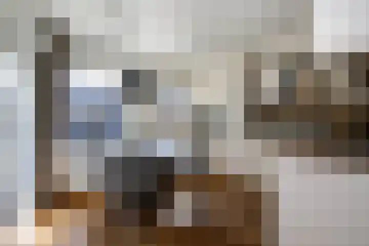 Zonnedauw 1 Schoonhoven thumbnail 10