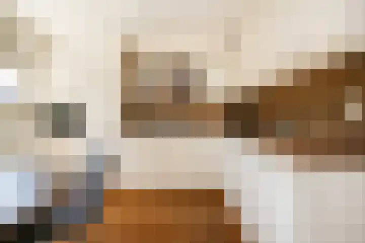 Zonnedauw 1 Schoonhoven thumbnail 11