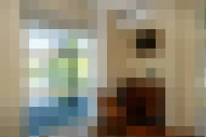 Zonnedauw 1 Schoonhoven thumbnail 13