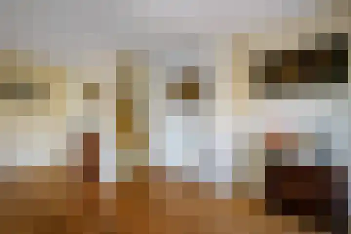 Zonnedauw 1 Schoonhoven thumbnail 19