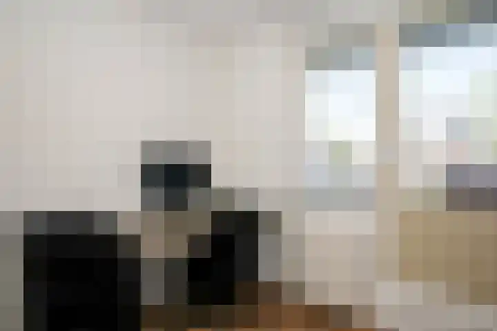 Zonnedauw 1 Schoonhoven thumbnail 23