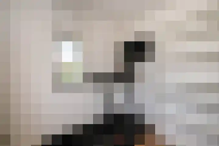 Zonnedauw 1 Schoonhoven thumbnail 24
