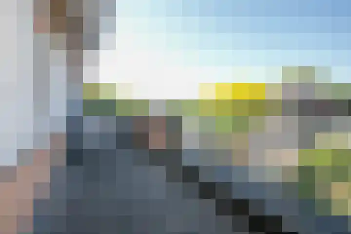 Zonnedauw 1 Schoonhoven thumbnail 25