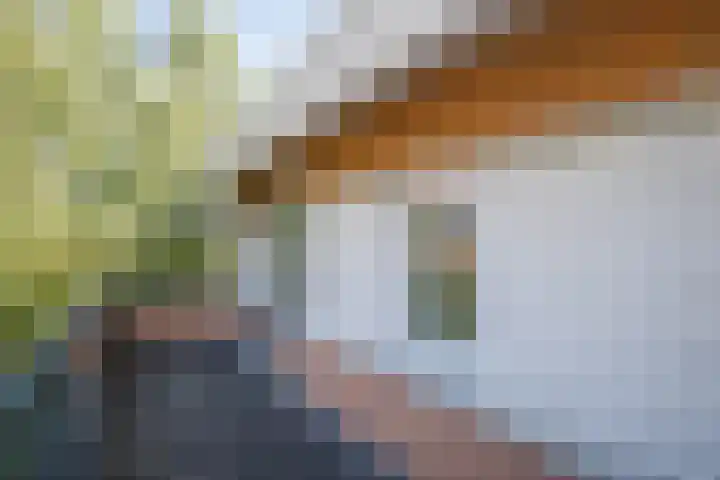 Zonnedauw 1 Schoonhoven thumbnail 27