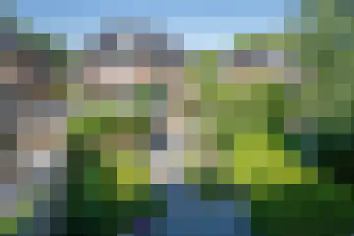 Zonnedauw 1 Schoonhoven thumbnail 28