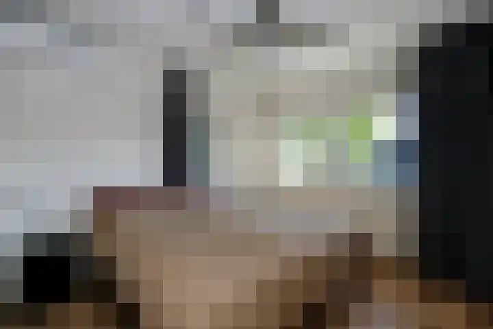 Zonnedauw 1 Schoonhoven thumbnail 29