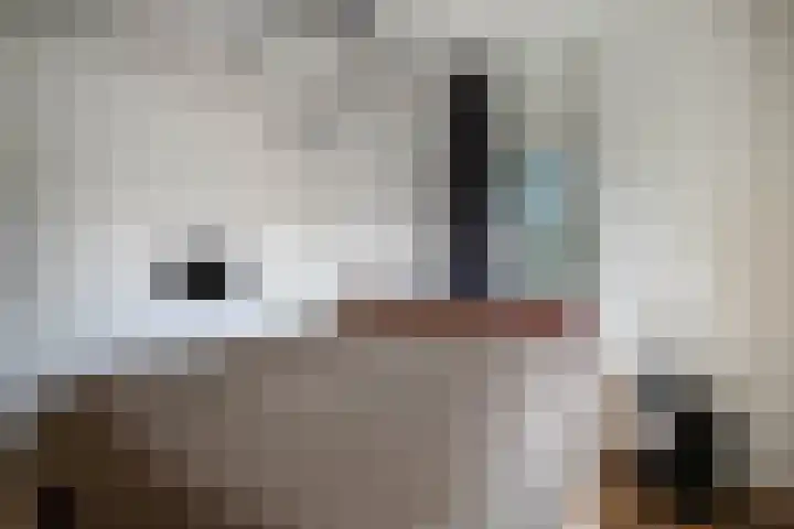 Zonnedauw 1 Schoonhoven thumbnail 30