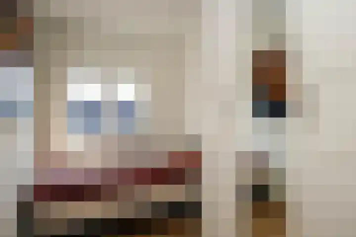 Zonnedauw 1 Schoonhoven thumbnail 31