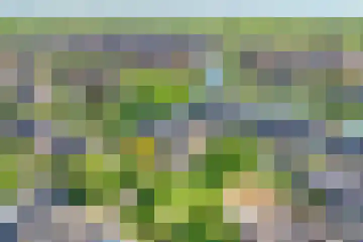 Zonnedauw 1 Schoonhoven thumbnail 32