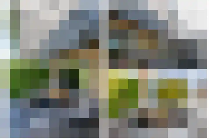 Zonnedauw 1 Schoonhoven thumbnail 34