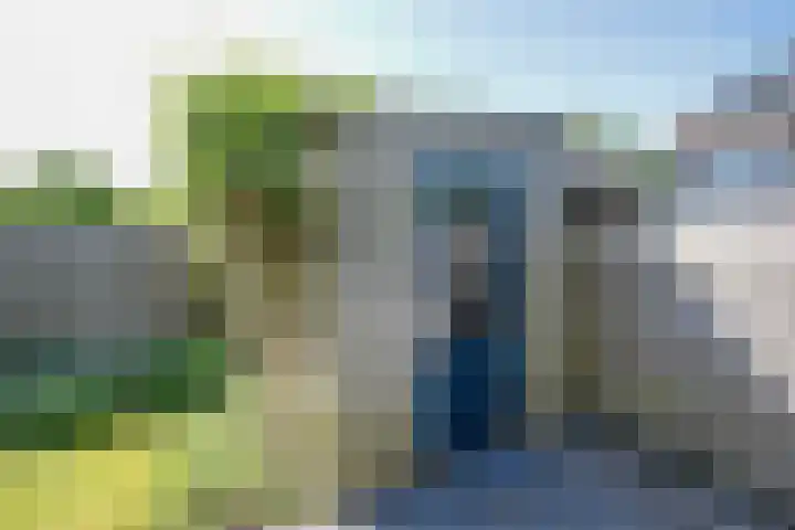 Zonnedauw 1 Schoonhoven thumbnail 36