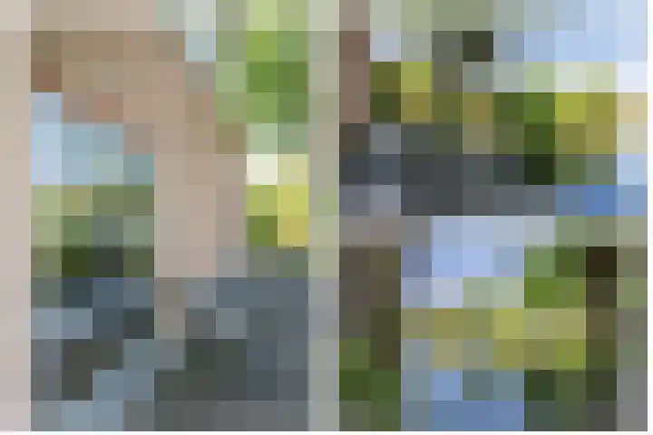 Zonnedauw 1 Schoonhoven thumbnail 37