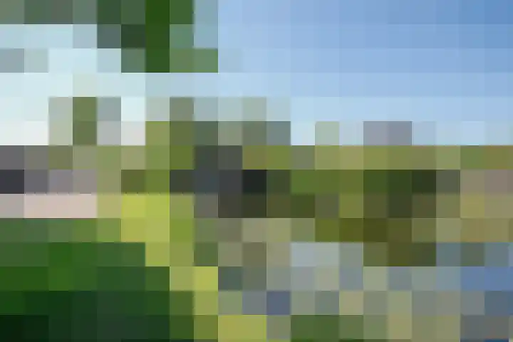 Zonnedauw 1 Schoonhoven thumbnail 38