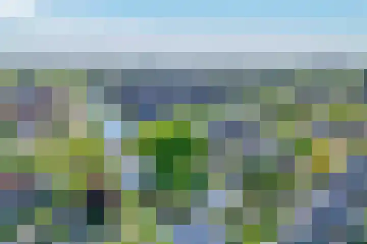 Zonnedauw 1 Schoonhoven thumbnail 39
