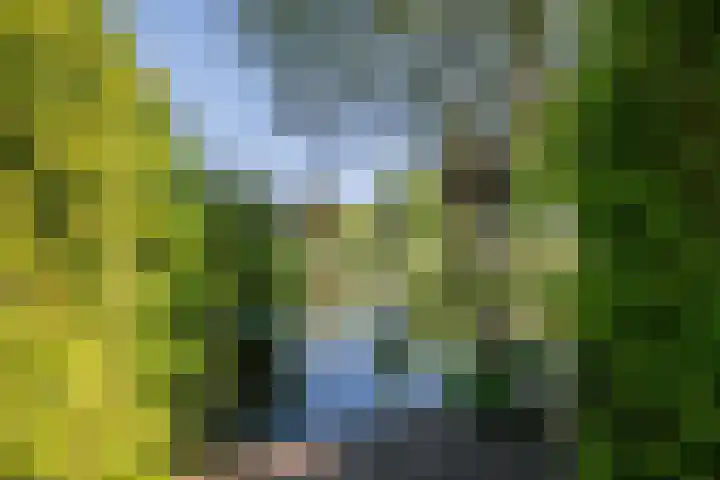 Zonnedauw 1 Schoonhoven thumbnail 4