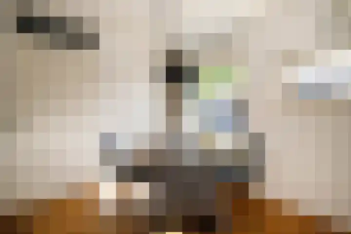 Zonnedauw 1 Schoonhoven thumbnail 8
