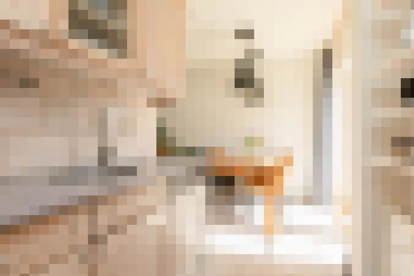 Zonnedauw 10 Sneek thumbnail 10