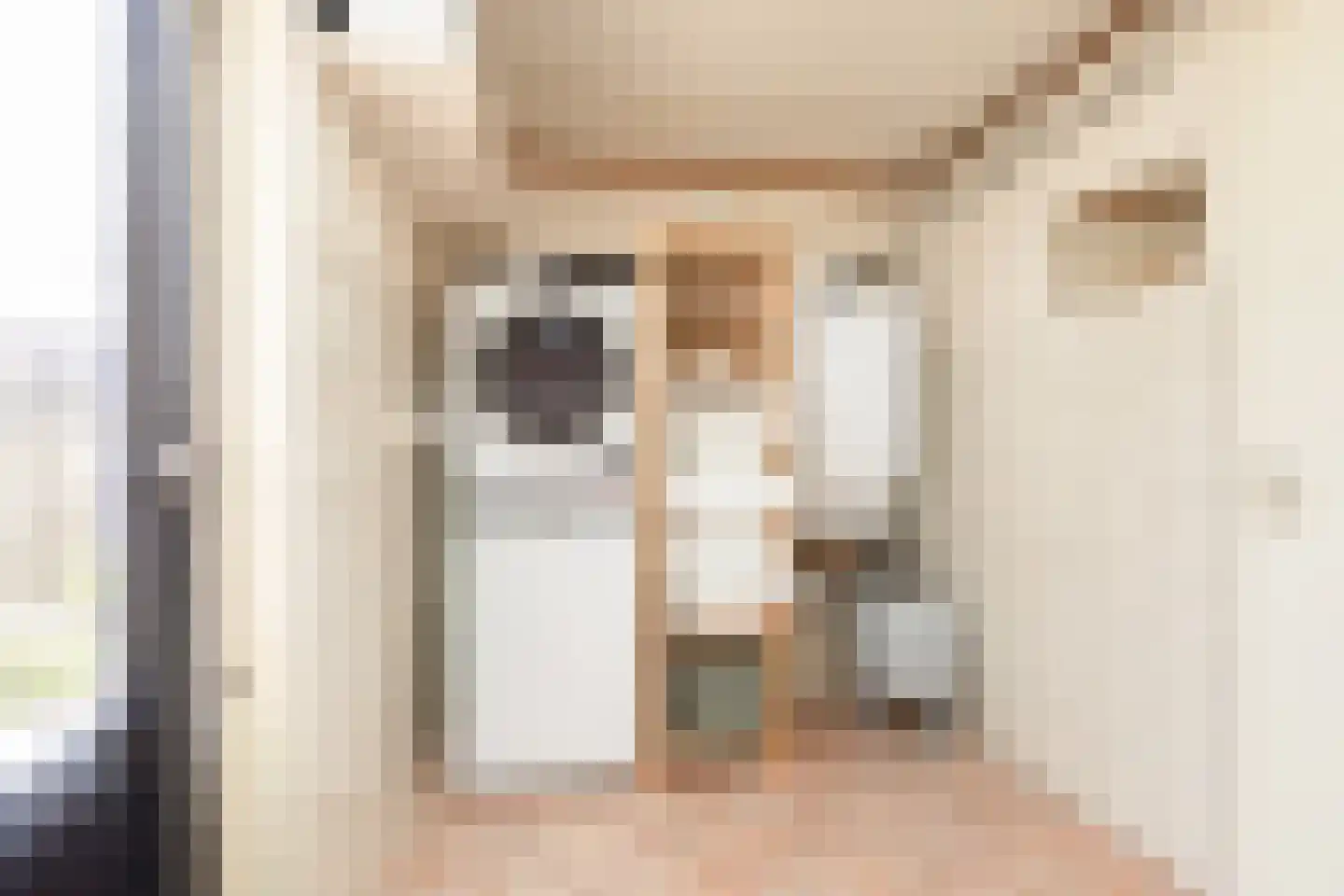 Zonnedauw 10 Sneek thumbnail 12