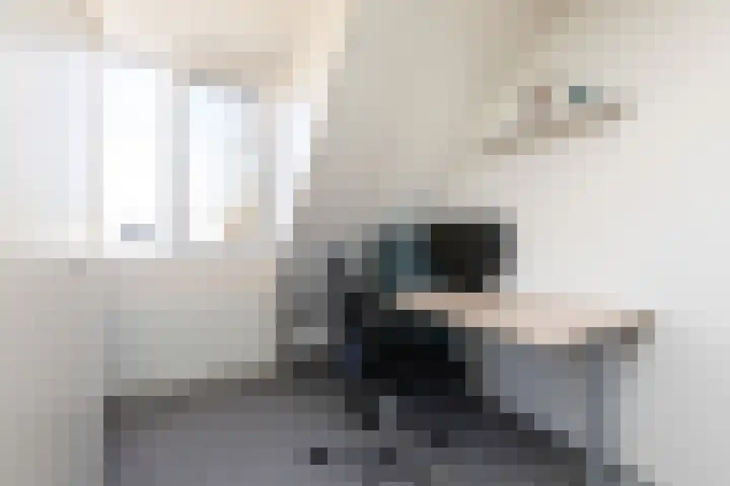 Zonnedauw 10 Sneek thumbnail 18