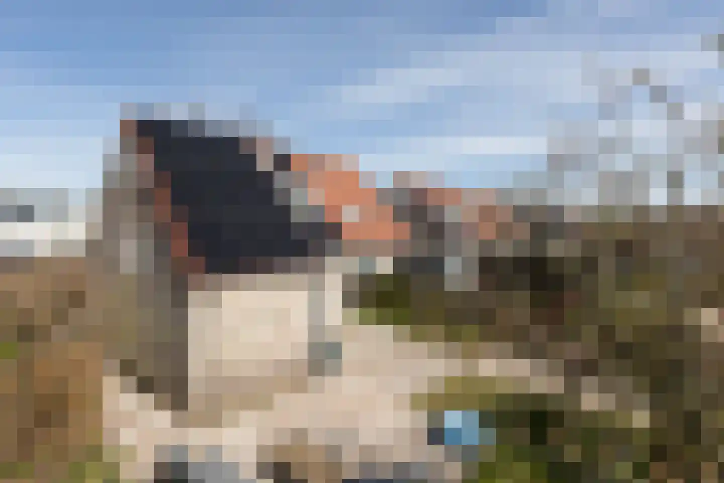 Zonnedauw 10 Sneek thumbnail 30