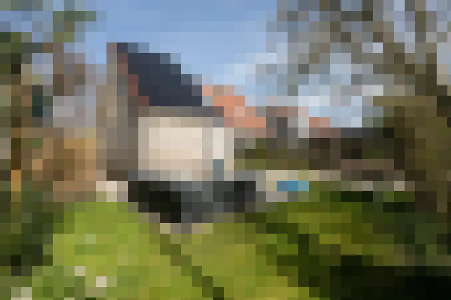Zonnedauw 10 Sneek thumbnail 31