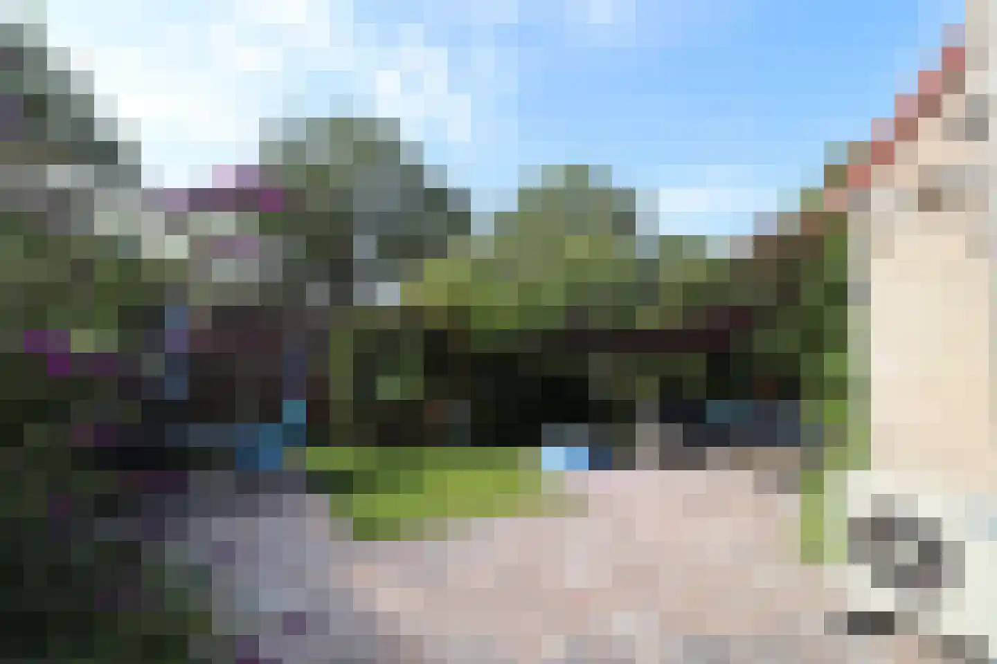 Zonnedauw 10 Sneek thumbnail 31