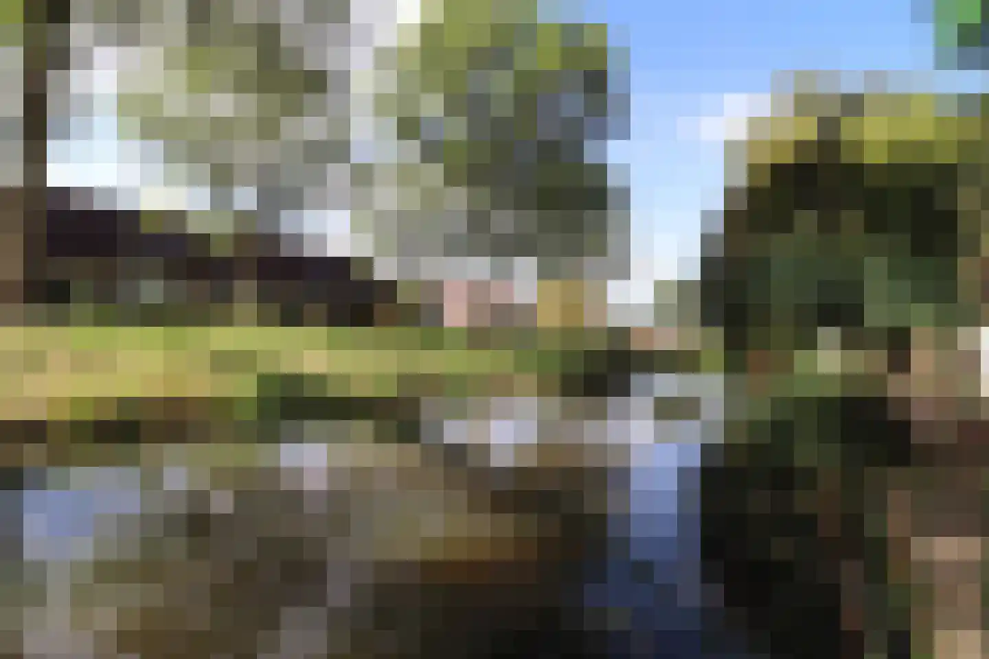 Zonnedauw 10 Sneek thumbnail 33