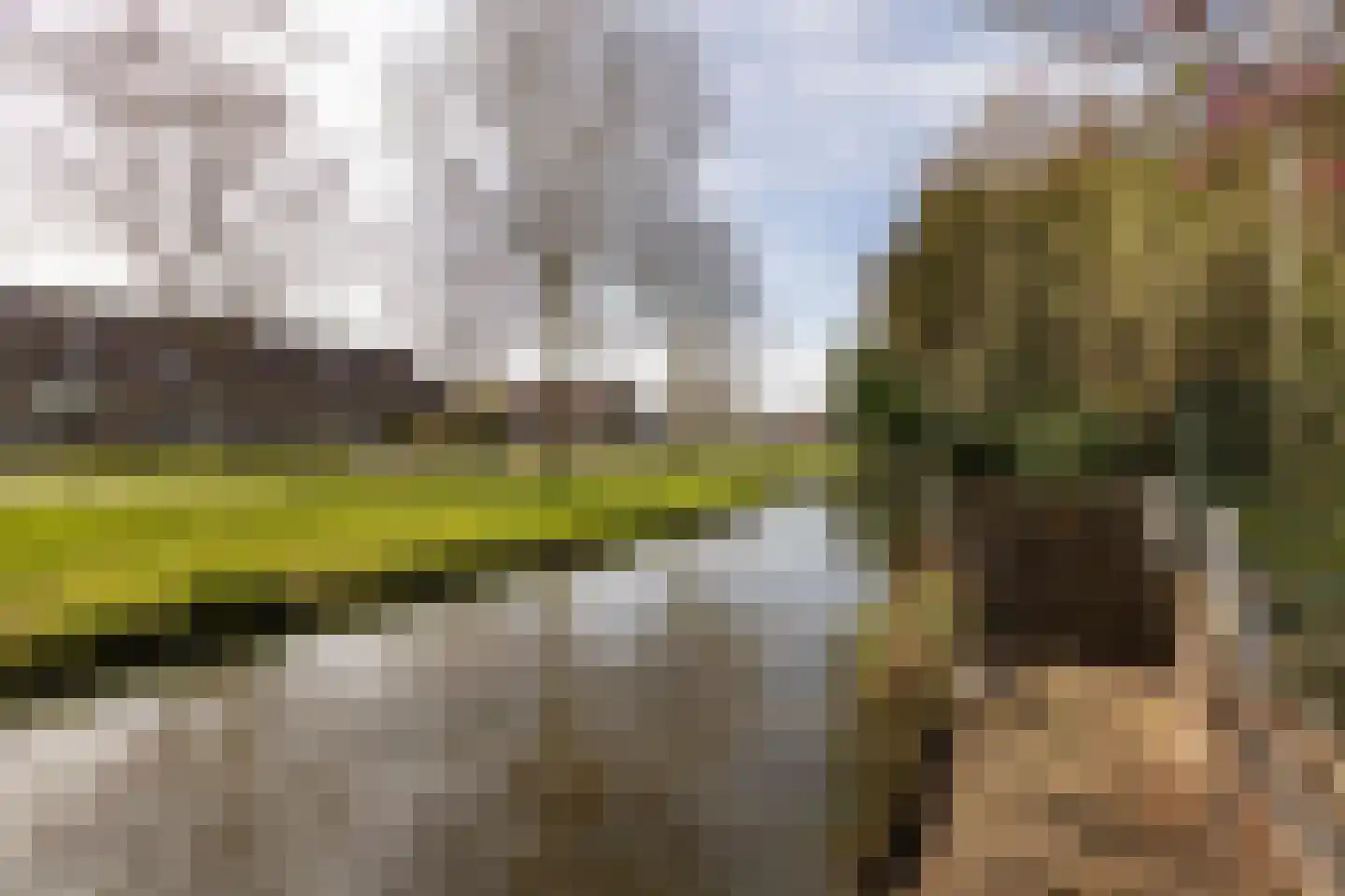 Zonnedauw 10 Sneek thumbnail 36
