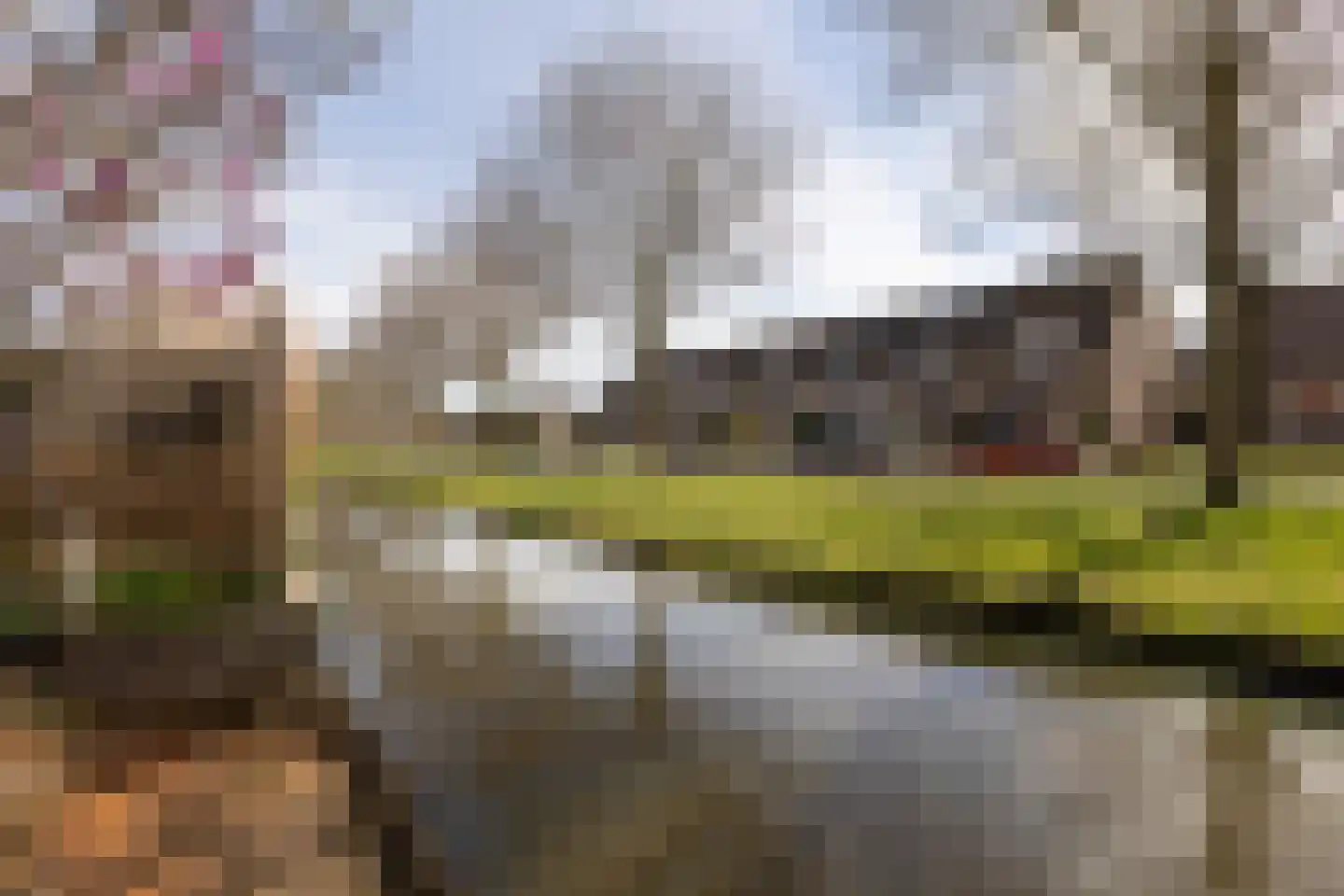 Zonnedauw 10 Sneek thumbnail 37