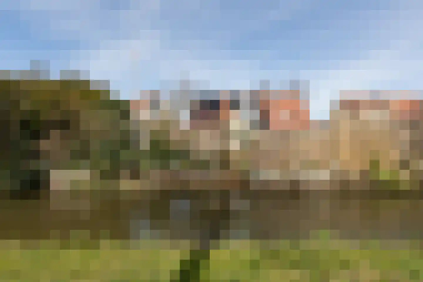 Zonnedauw 10 Sneek thumbnail 38