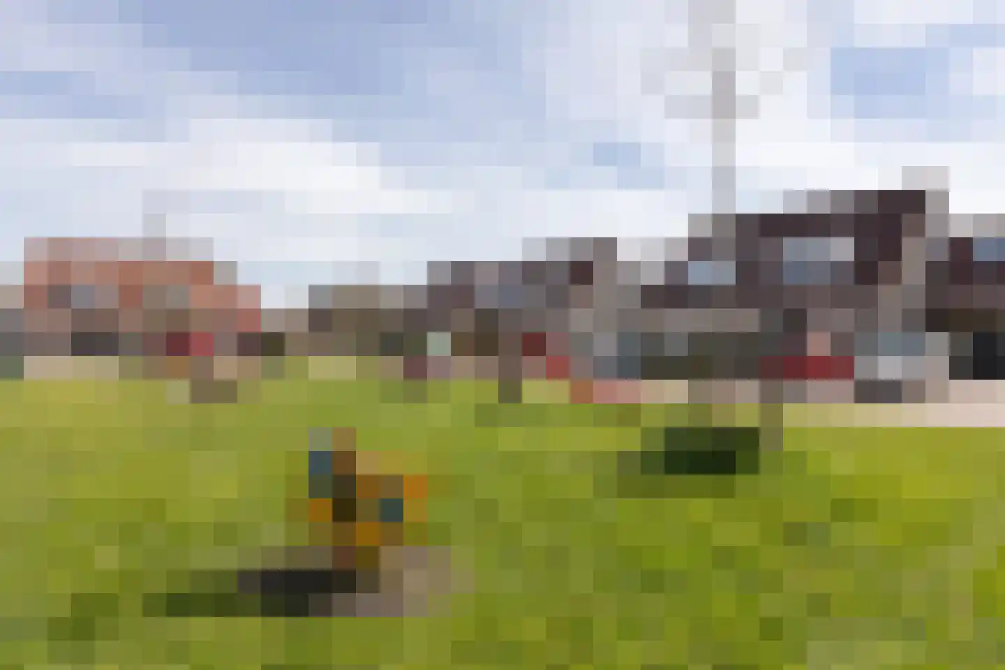 Zonnedauw 10 Sneek thumbnail 42