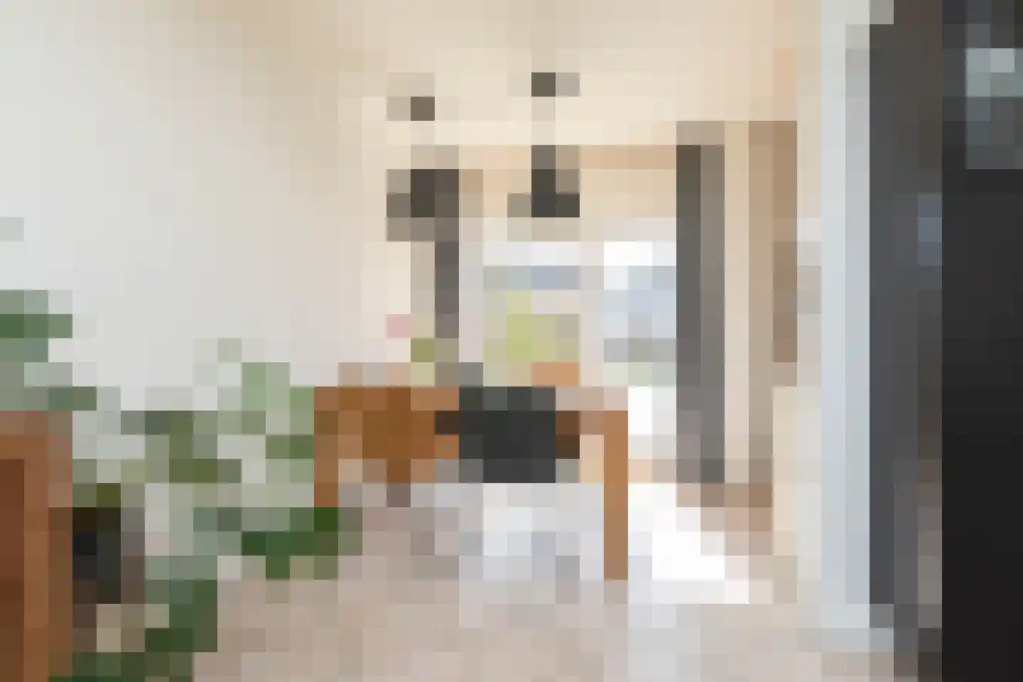 Zonnedauw 10 Sneek thumbnail 9