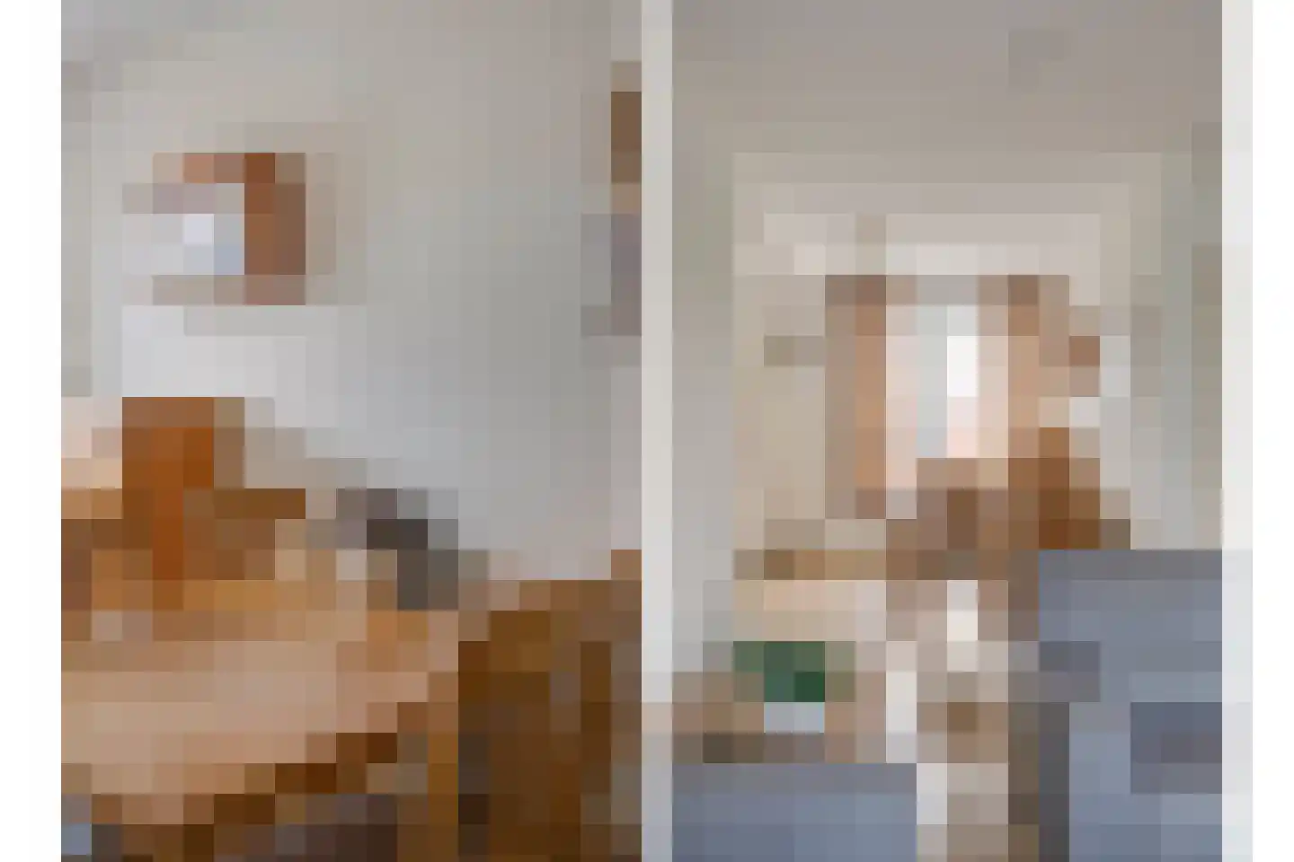 Zonnedauw 11 Meijel thumbnail 11