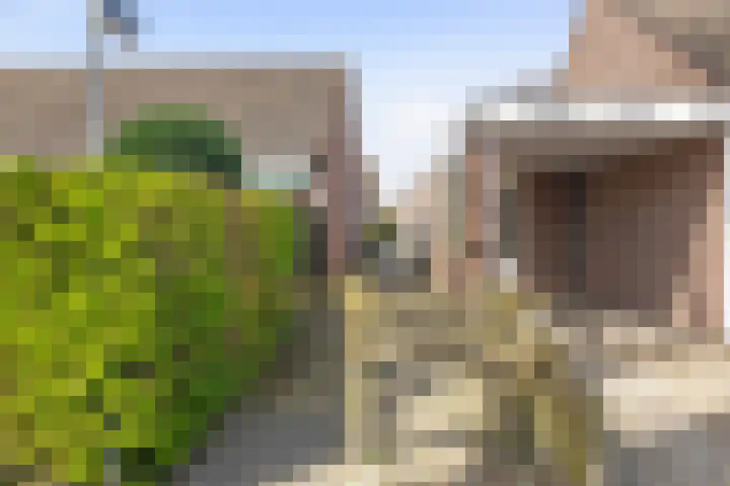 Zonnedauw 11 Meijel thumbnail 38