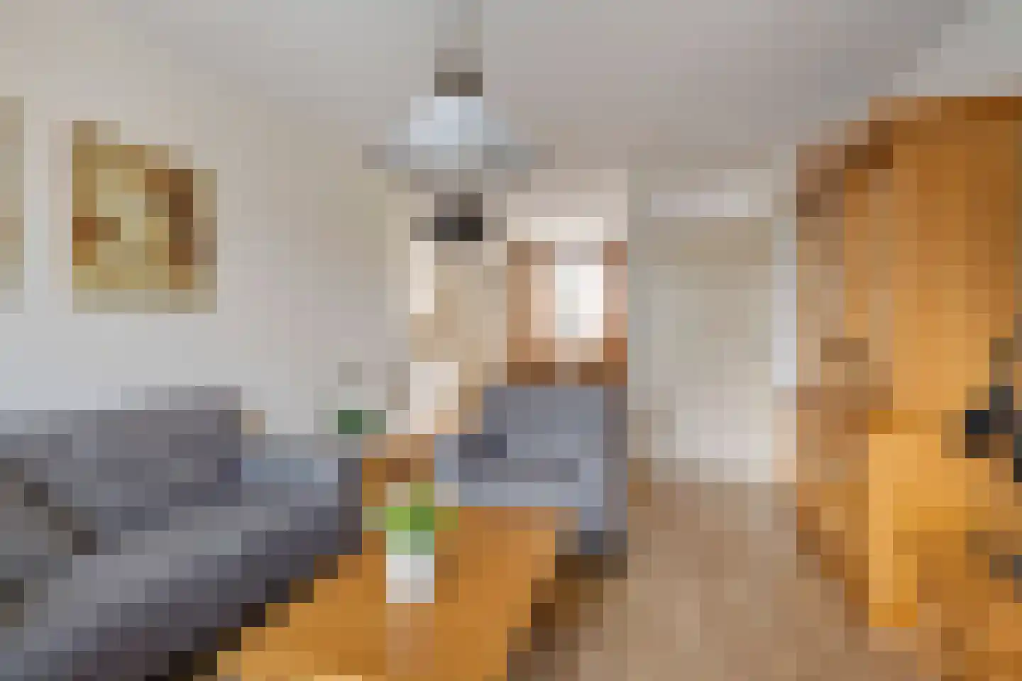 Zonnedauw 11 Meijel thumbnail 8