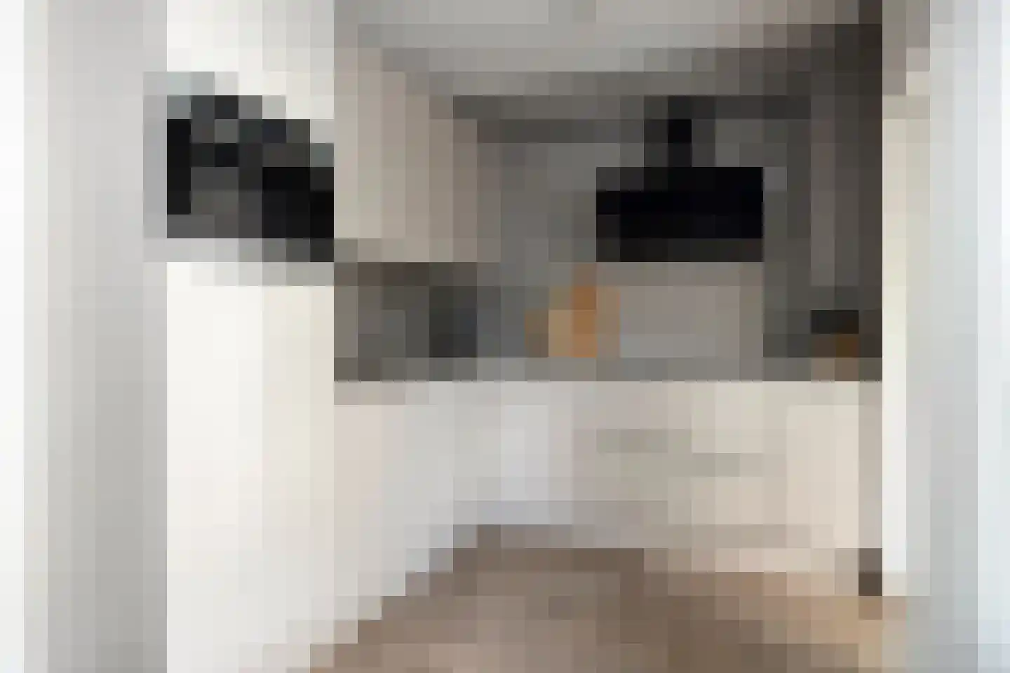Zonnedauw 11 Nieuwlande thumbnail 11